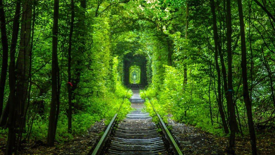 Останнє кохання діда Василя