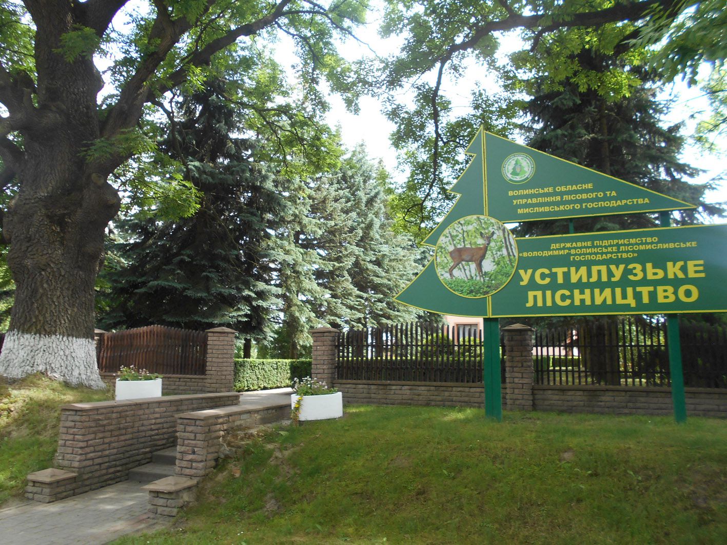 У Володимир-Волинському районі відсудили ліс