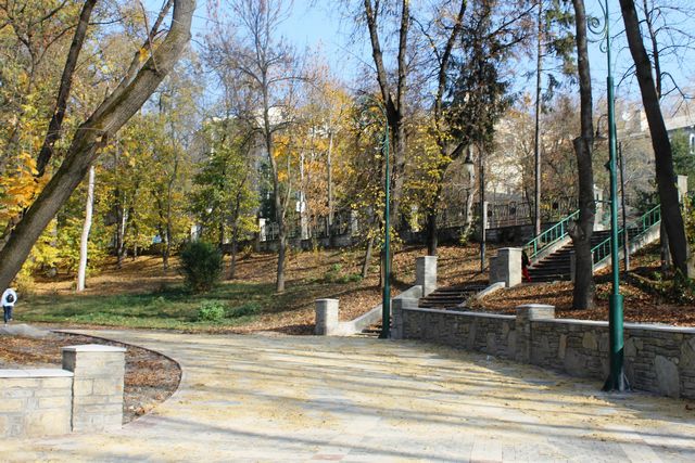 Для українських ботанічних садів шукають ідеї