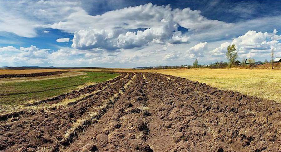 Пошукаймо відповідь...