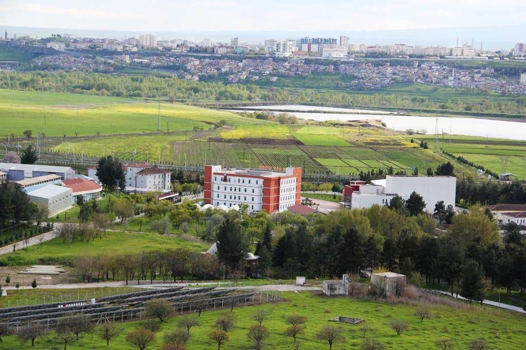 Проростає зерно міжнародного партнерства