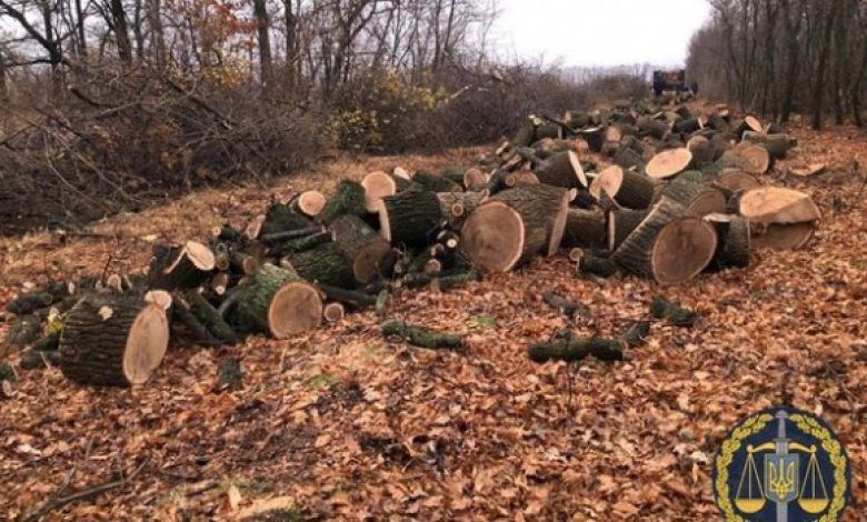 На Рівненщині вирубку можна контролювати онлайн
