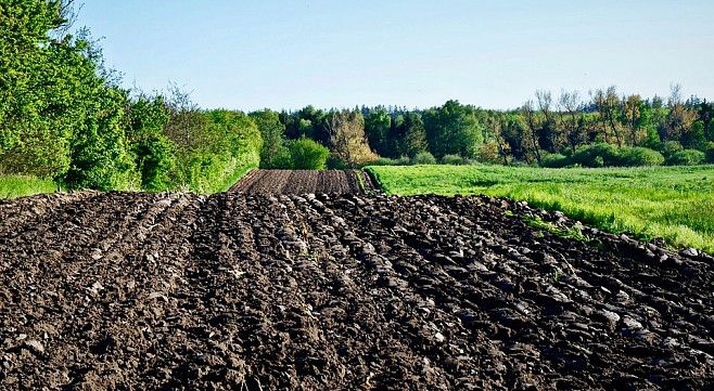 Запровадження ринку землі оскаржуватимуть у суді