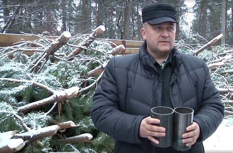 Головну новорічну красуню створять із поташнянських сосен