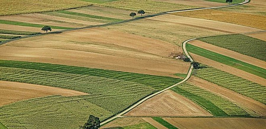 Не кваптеся з продажем землі