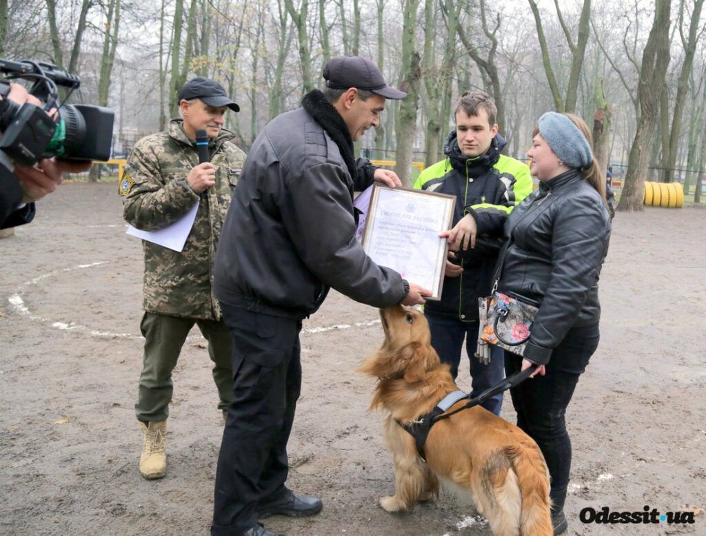 Пес Аміго допомагатиме незрячій учительці з Одеси