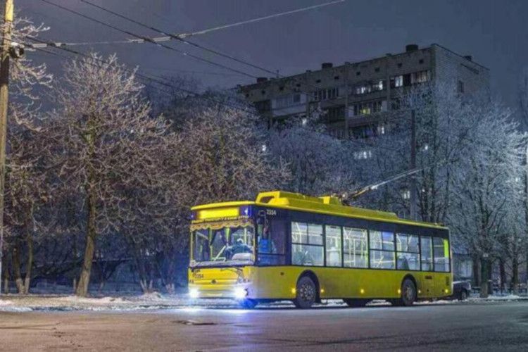 У Сумах «Електроавтотранс» розмістив розклад... на дереві