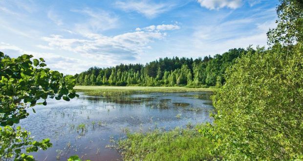 На Рівненщині створюють біосферний резерват