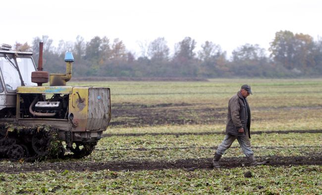 На Черкащині власникам паїв виплатили 2,8 млрд грн 