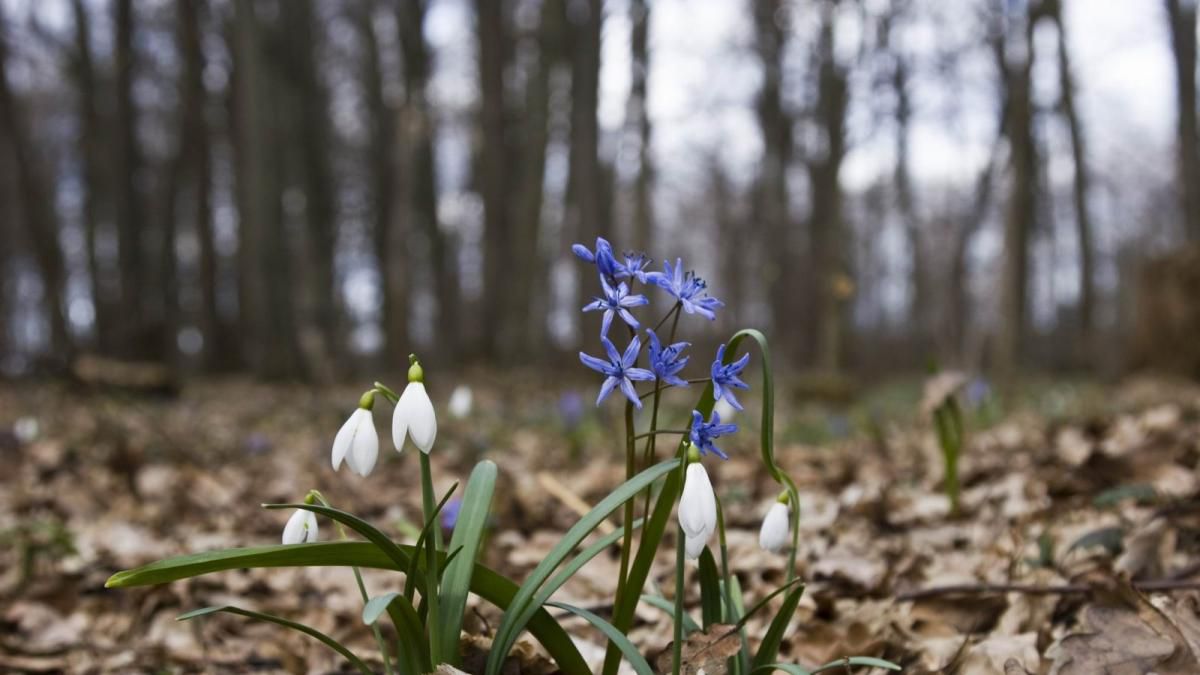 Такої погоди не було 140 років