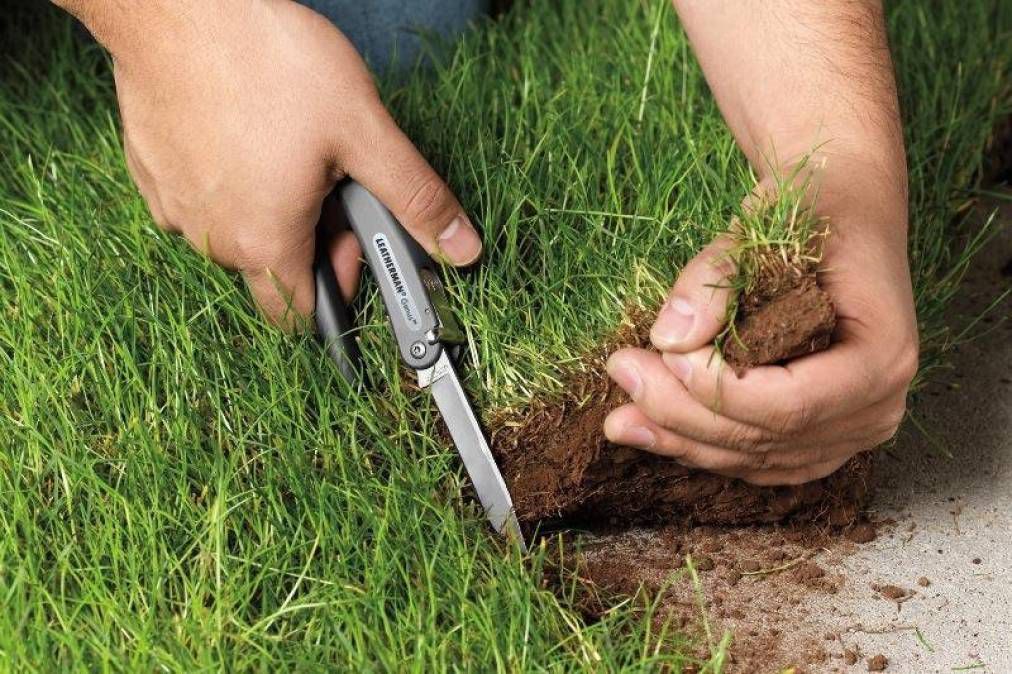 На Сумщині прокуратура заробила гроші для села