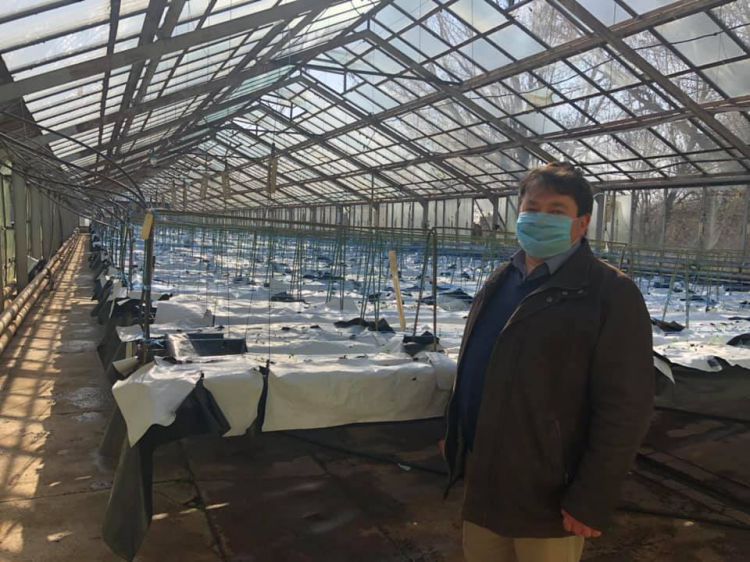 «Космічні» технології для чернігівської картоплі