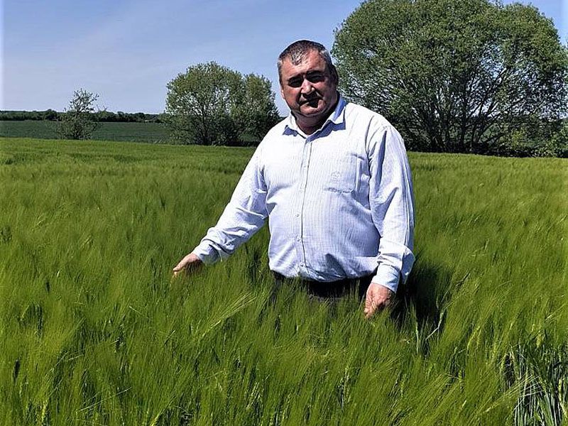 Напоїли дощі врожаї