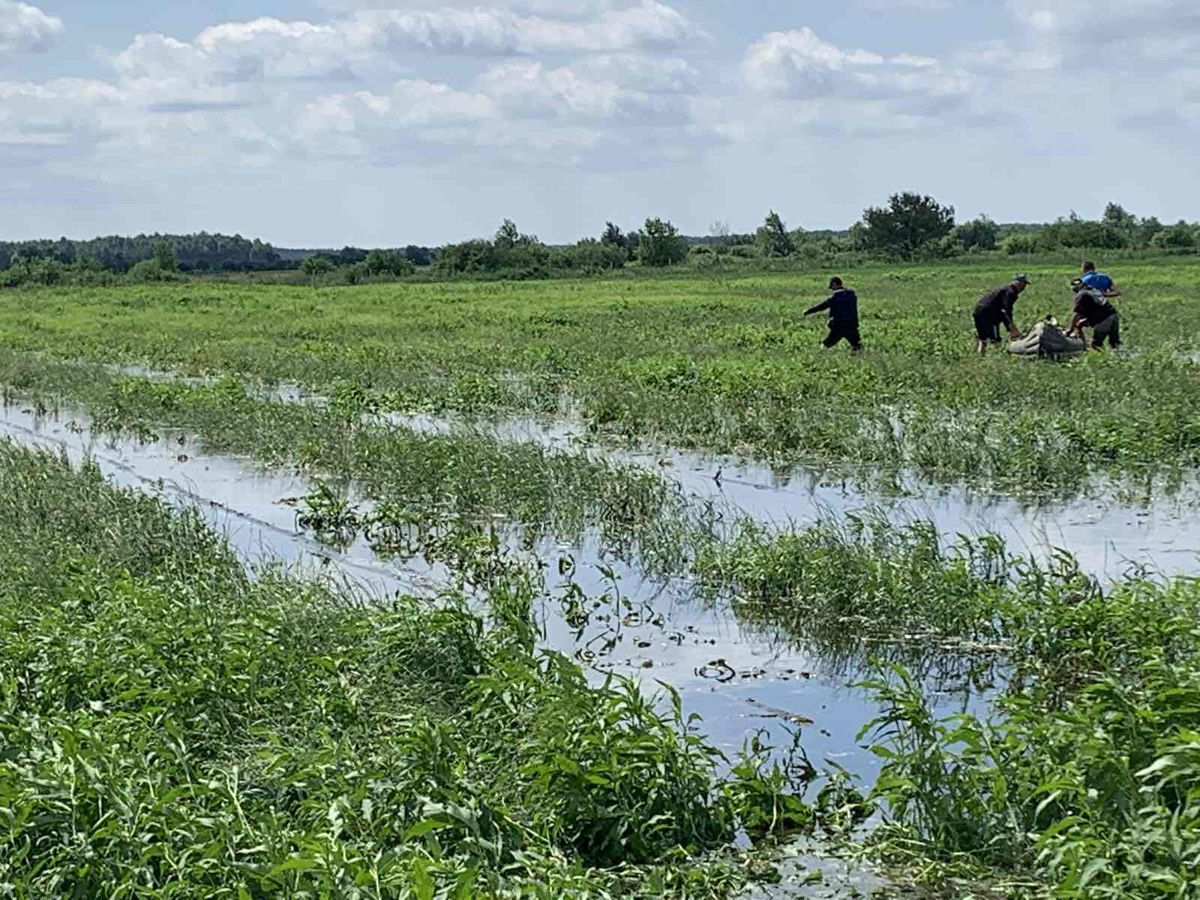 Волинь: Під водою врожай і надія селян