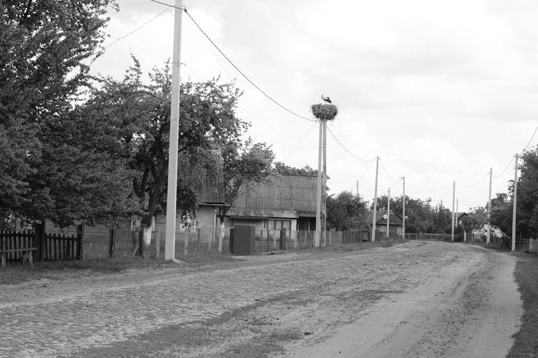 Заозір’я — морквяна «столиця» Рівненської області