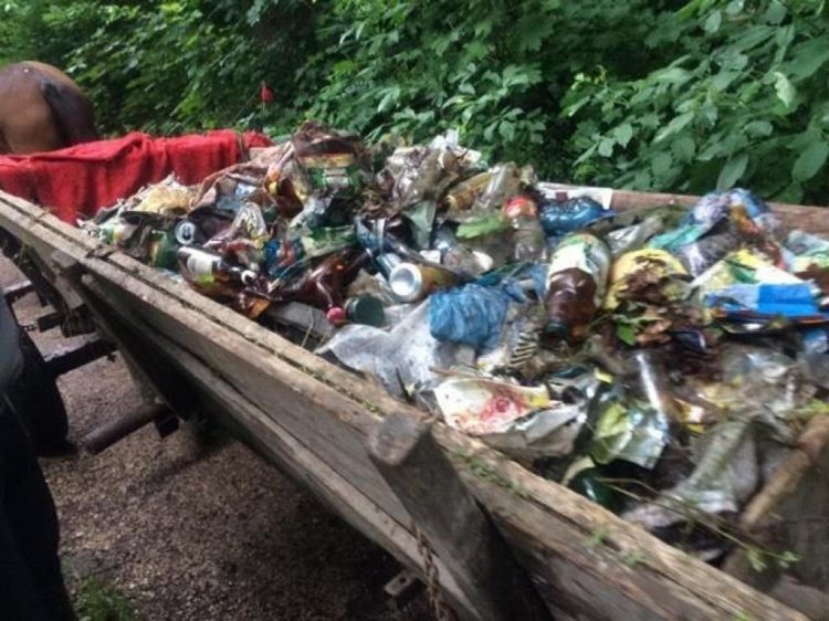 Закарпаття: Збір сміття — перший крок  до чистого довкілля!