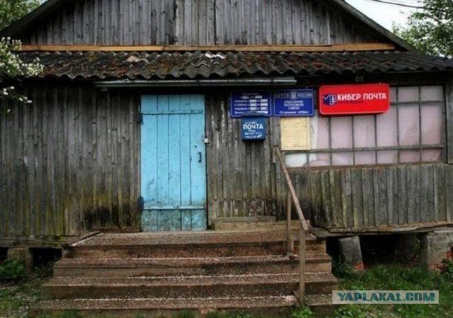 А баба Маня тут... кіберша