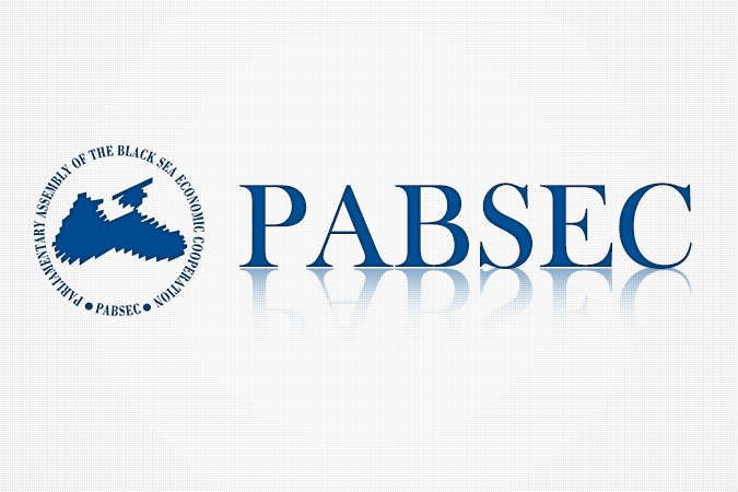Подякували нашій делегації в ПАЧЕС за підтримку