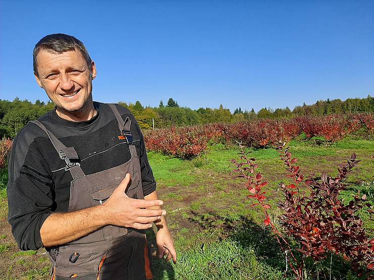 Івано-Франківщина: Лохина примхлива, зате прибуткова 