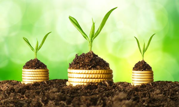 Херсонщина: Податкові мільйони на землі лежать