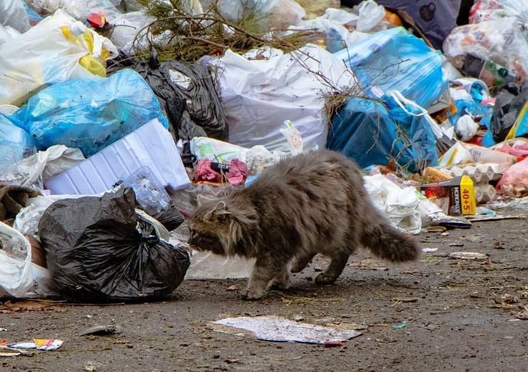 Дніпро: «Комунальний вузол» змушені розв’язувати самостійно