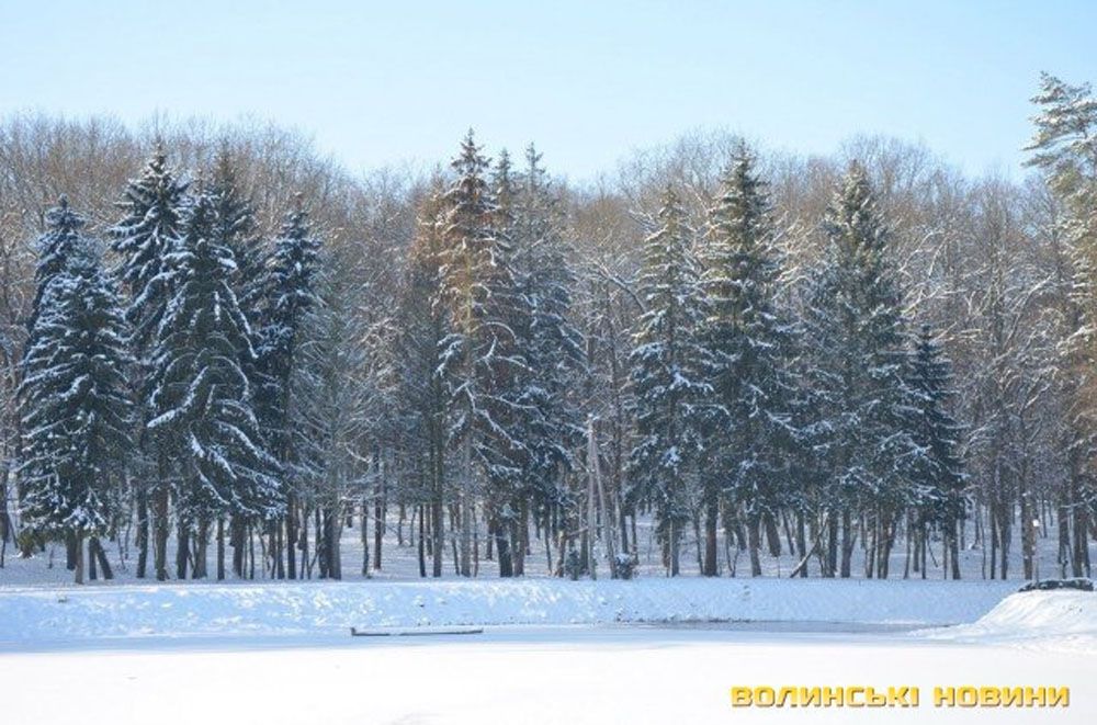 Тепер праліси Волині під охороною