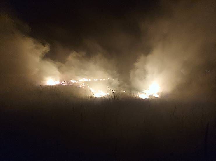 На Полтавщині палає очерет...