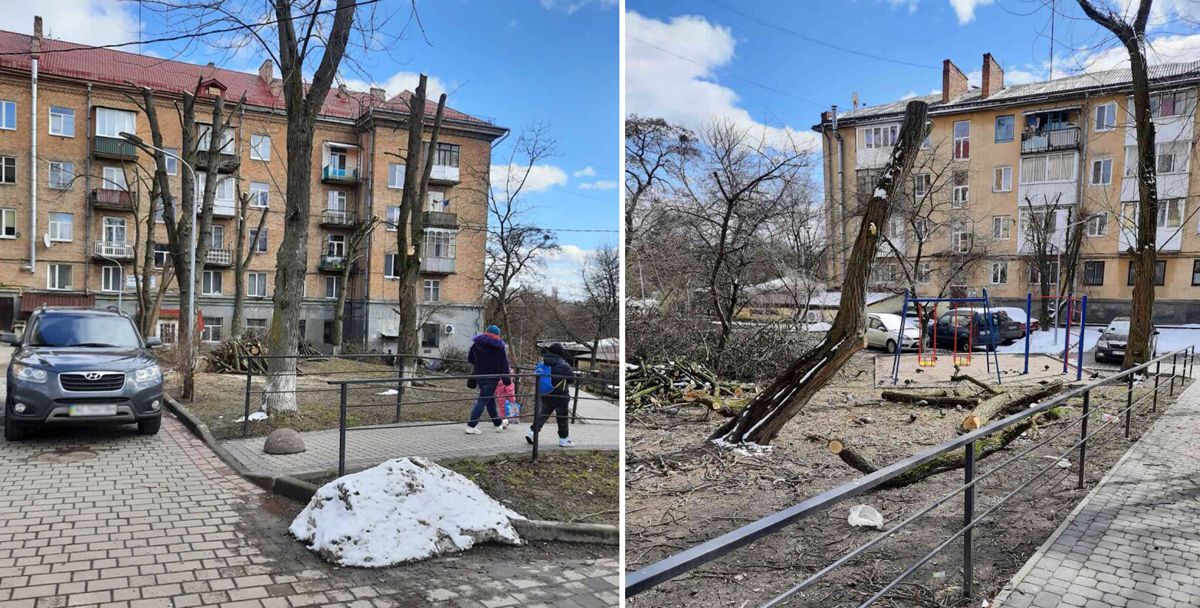 Луцьк: Замість затінку — обрубані потвори