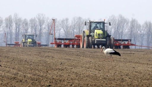 Погода і перспектива підштовхнули до польових робіт