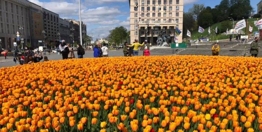Столицю уквітчали тюльпани