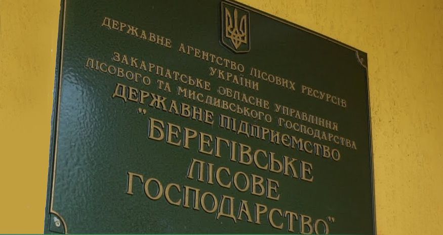 Закарпаття: Хочеш мати хороший ліс —  доглядай за культурами!