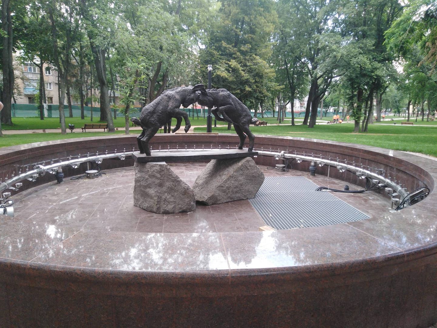 Чернігів: Знов зустрілись непоступливі цапки