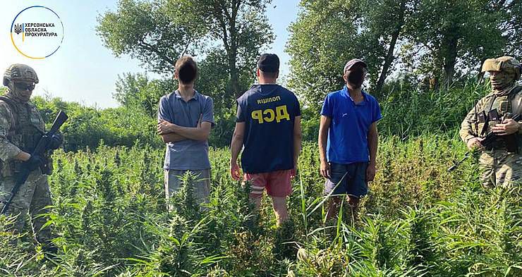 У національному парку на Херсонщині облаштували наркоплантацію
