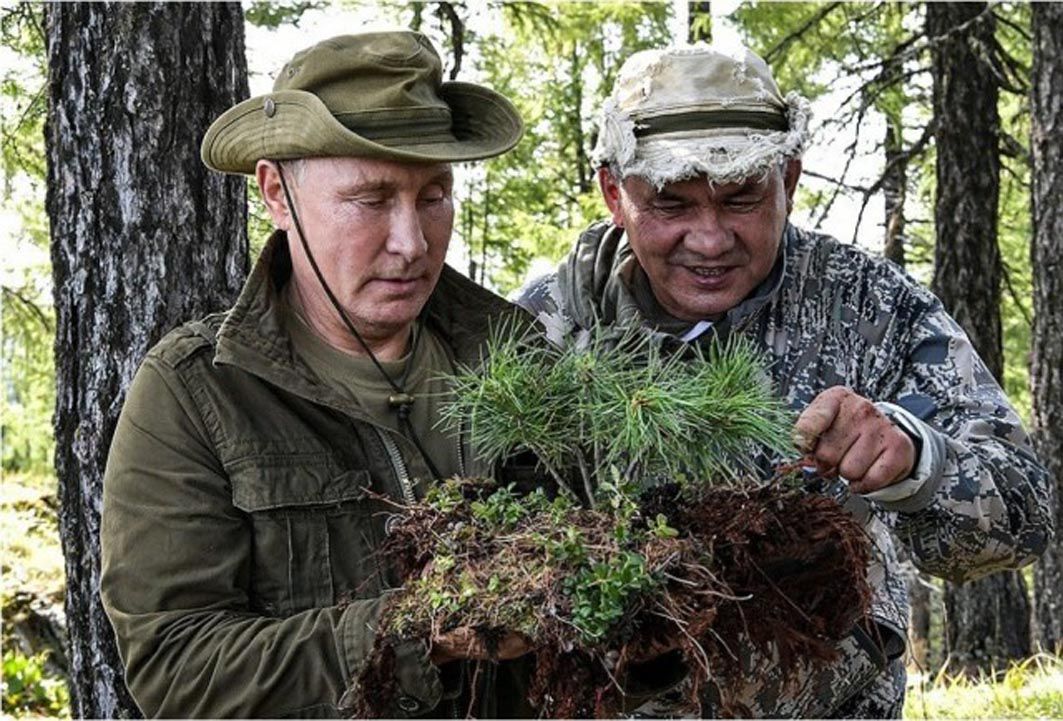 Вово, а це мох з Горбатої гори!..