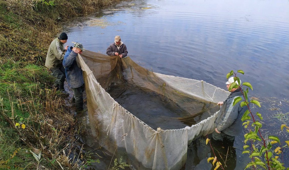 Чернігів: У річку запустили мальків коропа