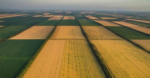 Львівщина: Де в країні земля дорога?