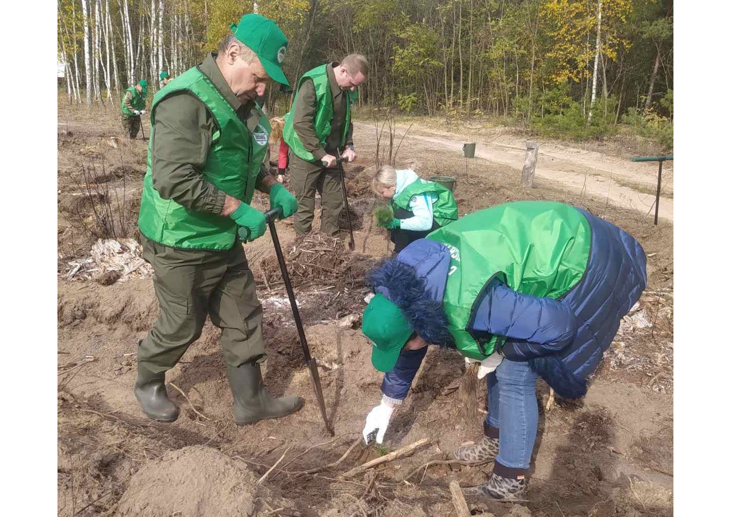 Чернігівщина: Під Любечем буятиме ліс