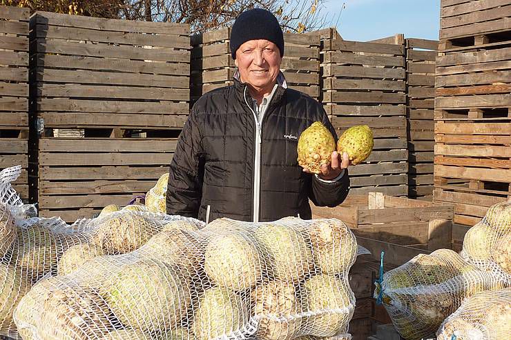 Проміняв картоплю на селеру