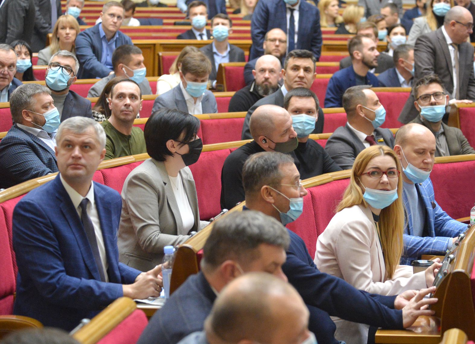Мораторій залишиться, але ринок деревини стане прозорішим