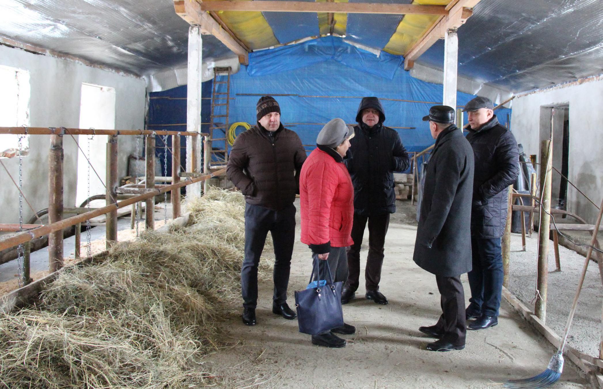 Міська рада створила фермерське господарство