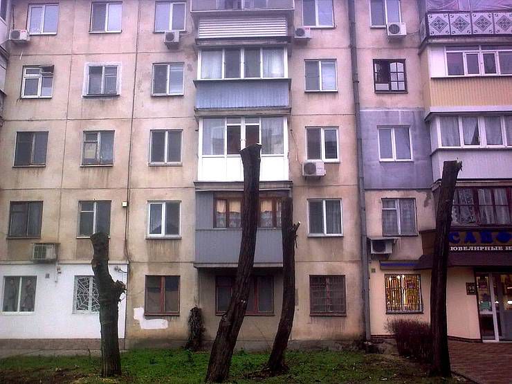 Знищення під виглядом… кронування 