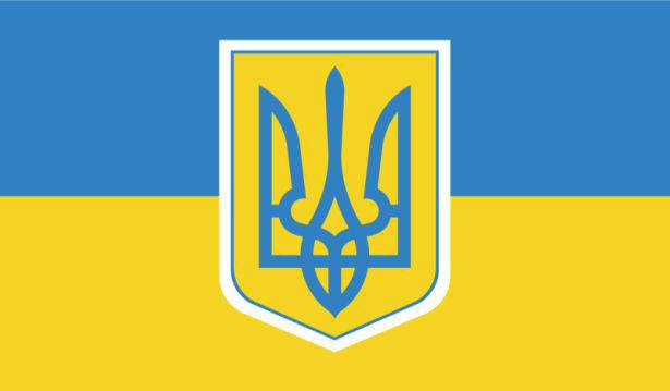 Про внесення змін до деяких законів України щодо забезпечення допоміжними засобами реабілітації осіб, постраждалих внаслідок військової агресії Російської Федерації проти України 