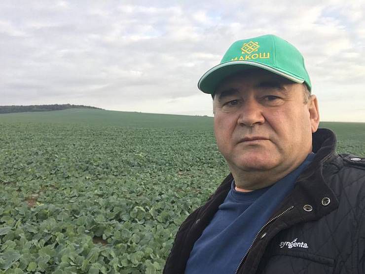 Не впадаємо у відчай, а прораховуємо різні варіанти, як збирати, чистити, сушити і складувати вирощене
