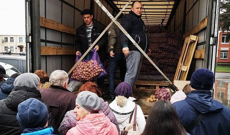 Вінниччина: Отримали картоплю елітних сортів