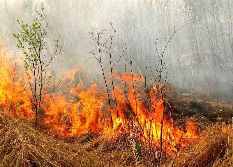 Рятувальники попереджають про збільшення кількості пожеж на відкритих територіях та у природних екосистемах