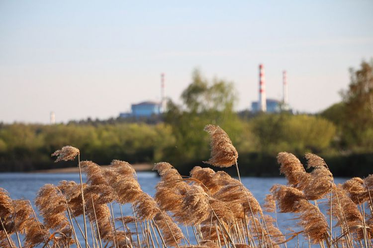 Усі діючі українські АЕС працюють у штатному режимі 