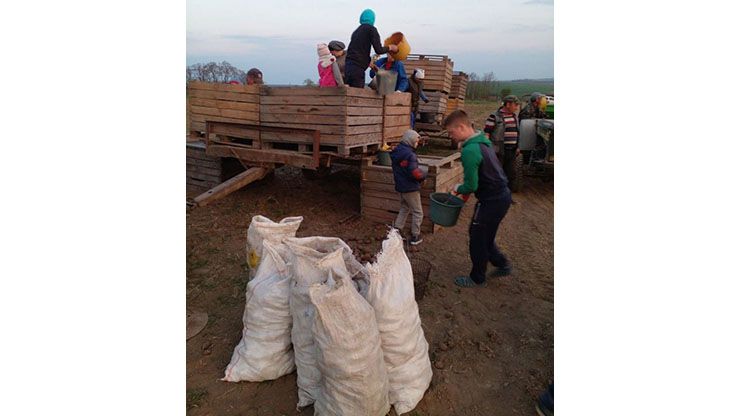 Щоб ніхто не був голодним