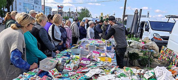 У насінині зосередився цілий світ