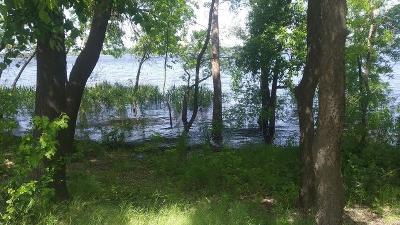Велика вода прийшла на лівобережжя Дніпра