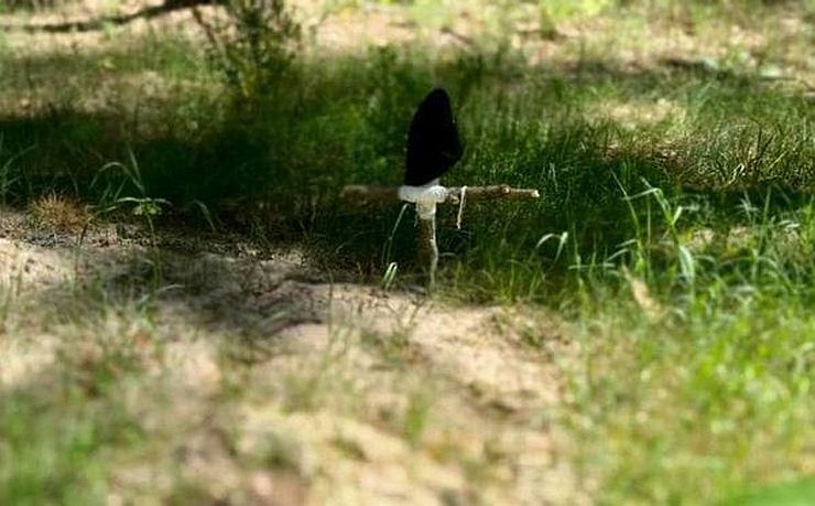 У Бучанському районі виявили тіло вбитого окупантами жителя Гурівщини